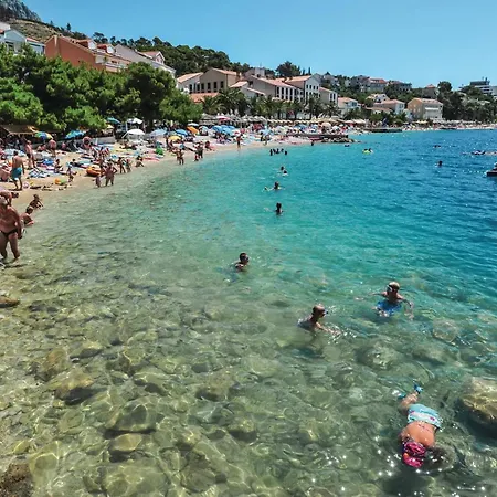 With Outdoor Swimming Pool 305